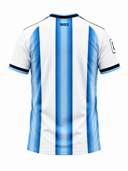 Argentina 2022 Home Jersey – Sky Blue & White Striped Football Shirt (Back View) - Darkdxb